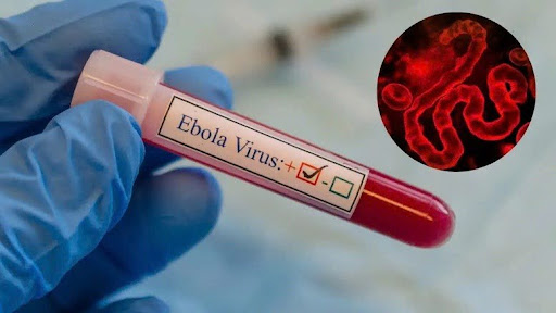 Trước tình hình virus Ebola có xu hướng lan rộng, nhiều nước đang tích cực triển khai các biện pháp phòng ngừa lây lan.